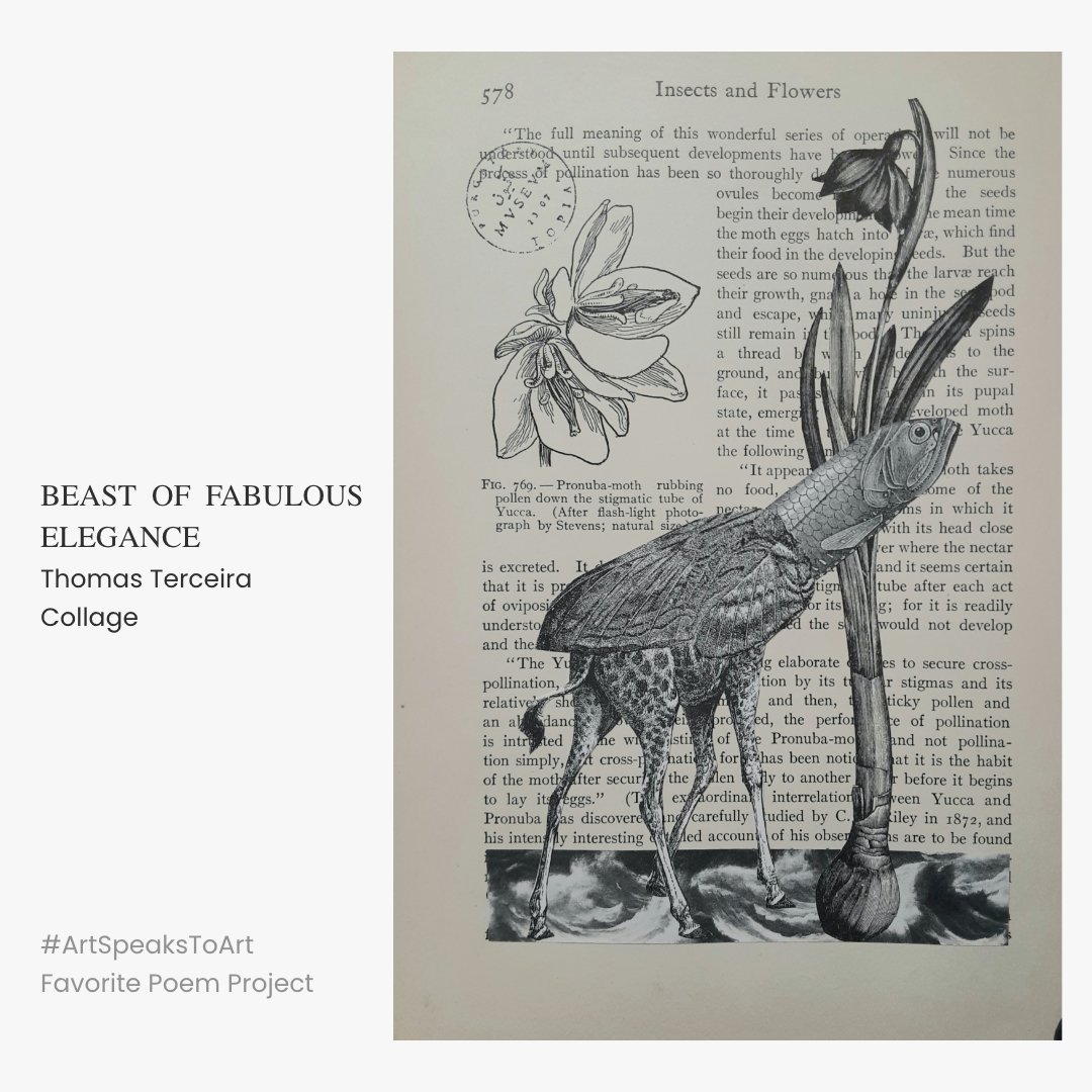 Favorite Poem Project tweet media