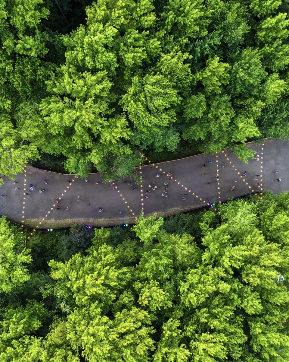LiveAtFirefly's tweet photo. 🌿 affirmation: I release myself from versions of me that I created just to survive https://t.co/8IR95FDNka