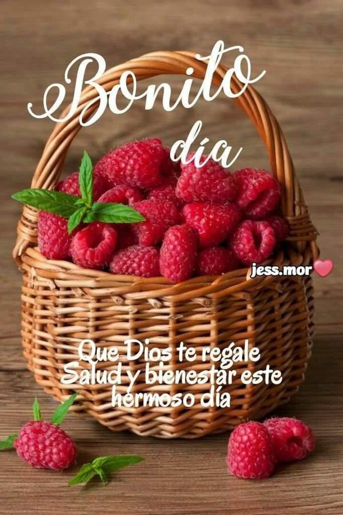 D'AlbaVic 🇲🇽🇲🇽🇲🇽 tweet media