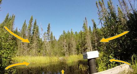 Nora Casson tweet media