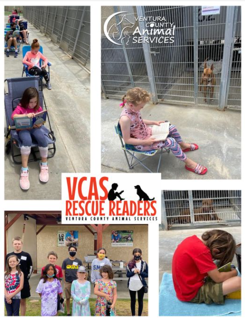 venturacountylibrary-on-twitter-read-to-shelter-animals-sundays-3