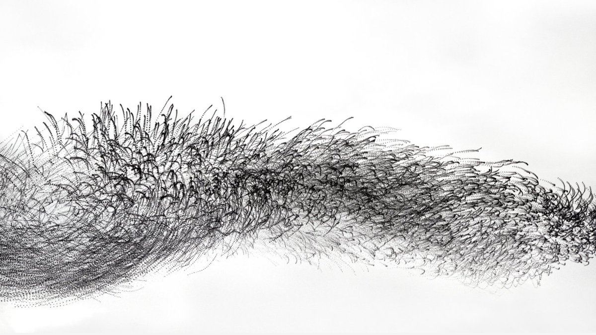 By combining modern tech with 19th-century technique, physicist-turned-photographer <a href="/KathCooper01/">Kathryn Cooper</a> reveals how starling murmurations move. For the full photo essay: bit.ly/36yS1Tf