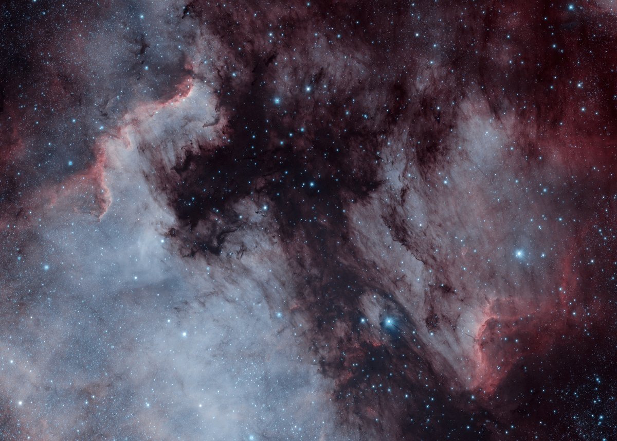 An #astrophotography of parts of North America and Pelican Nebula I shot last Sunday. Tried to get rid of some stars using @AstroBackyard last videos tips. Shot with @zwoasi 2600mcPro on @Celestron RASA8 with @Optolong_filter l-eNhance filter. HOO with @AstroPixelProc #AstroHour