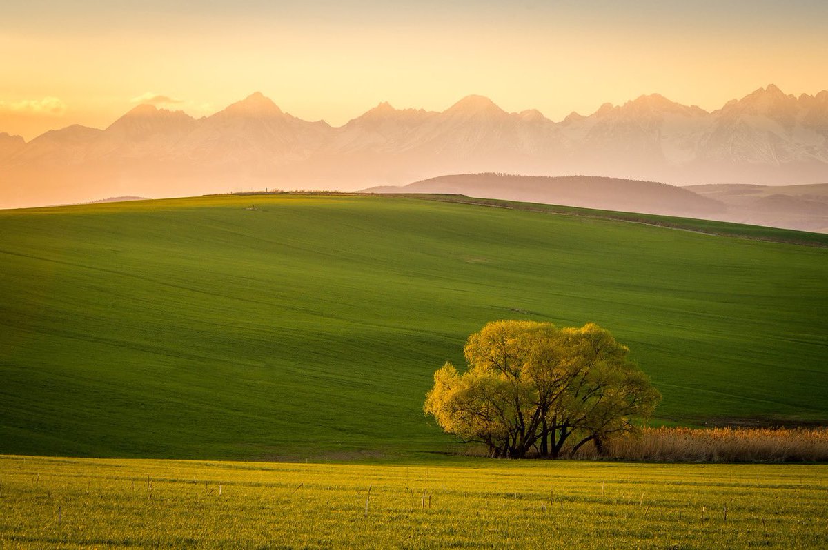 BestSlovakia's tweet photo. Sunset at Spiss region. Spišský región is GREEN with rolling meadows and fields and with Tatra mountains in the background. Photo Miroslav Sluk #Slovakia #Spiss #Spissregion #Spišskýregión #EasternSlovakia #Castles #Unesco #Levoca https://t.co/gJmp62ByFB