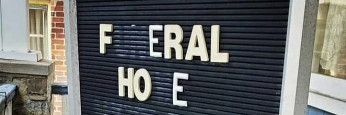 🪦Funeral hoe  🔗Join me 6ft below https://t.co/t45HPDSY1L