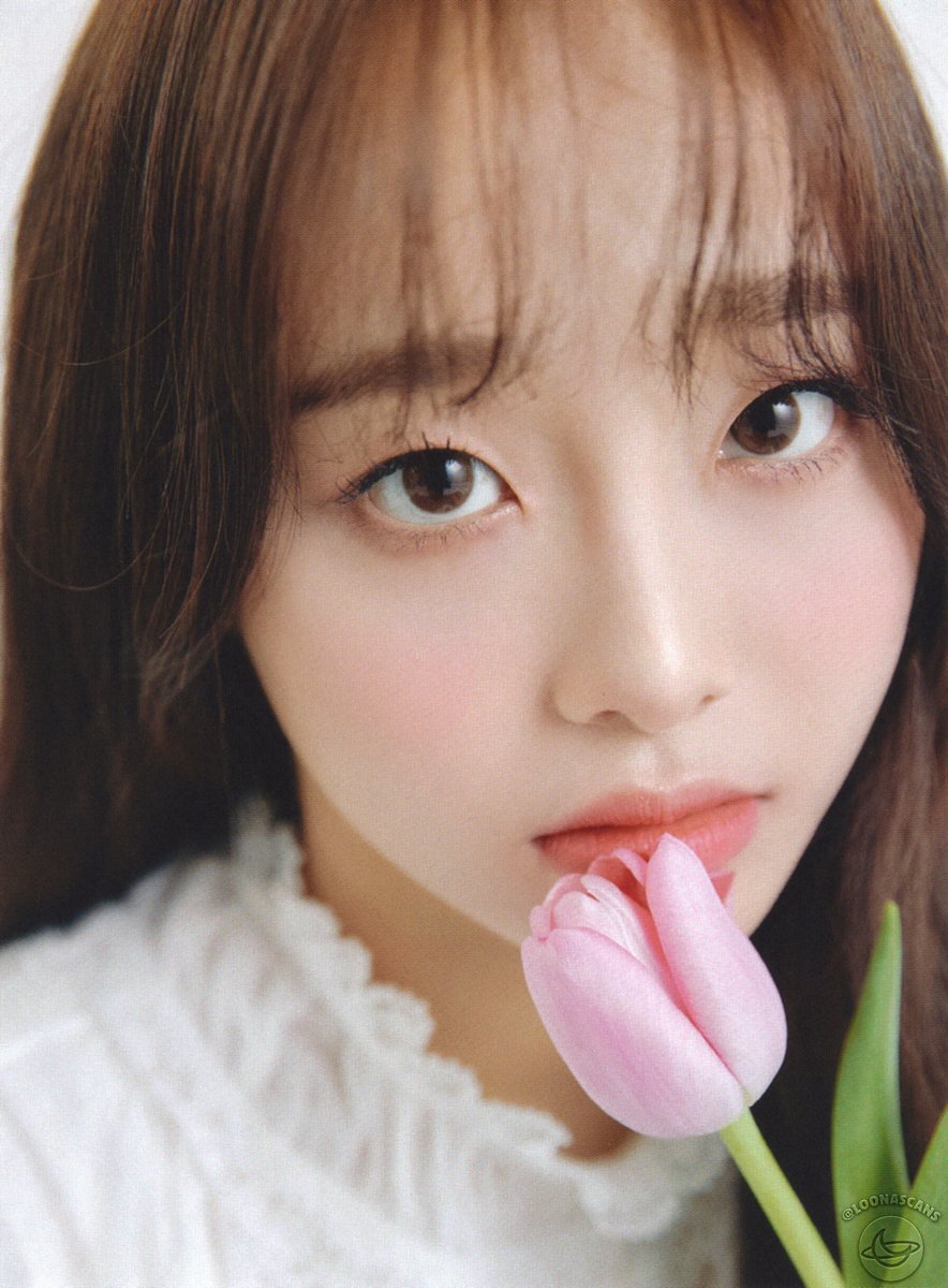 ◇ [ &amp; ] Album Scans
» Version D - Chuu