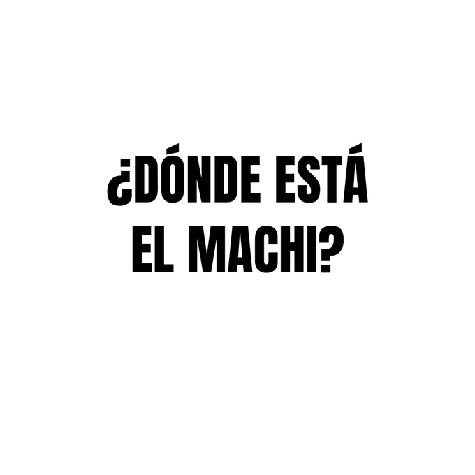 En Chile hay un machi desaparecido!! #DondeEstaElMachi