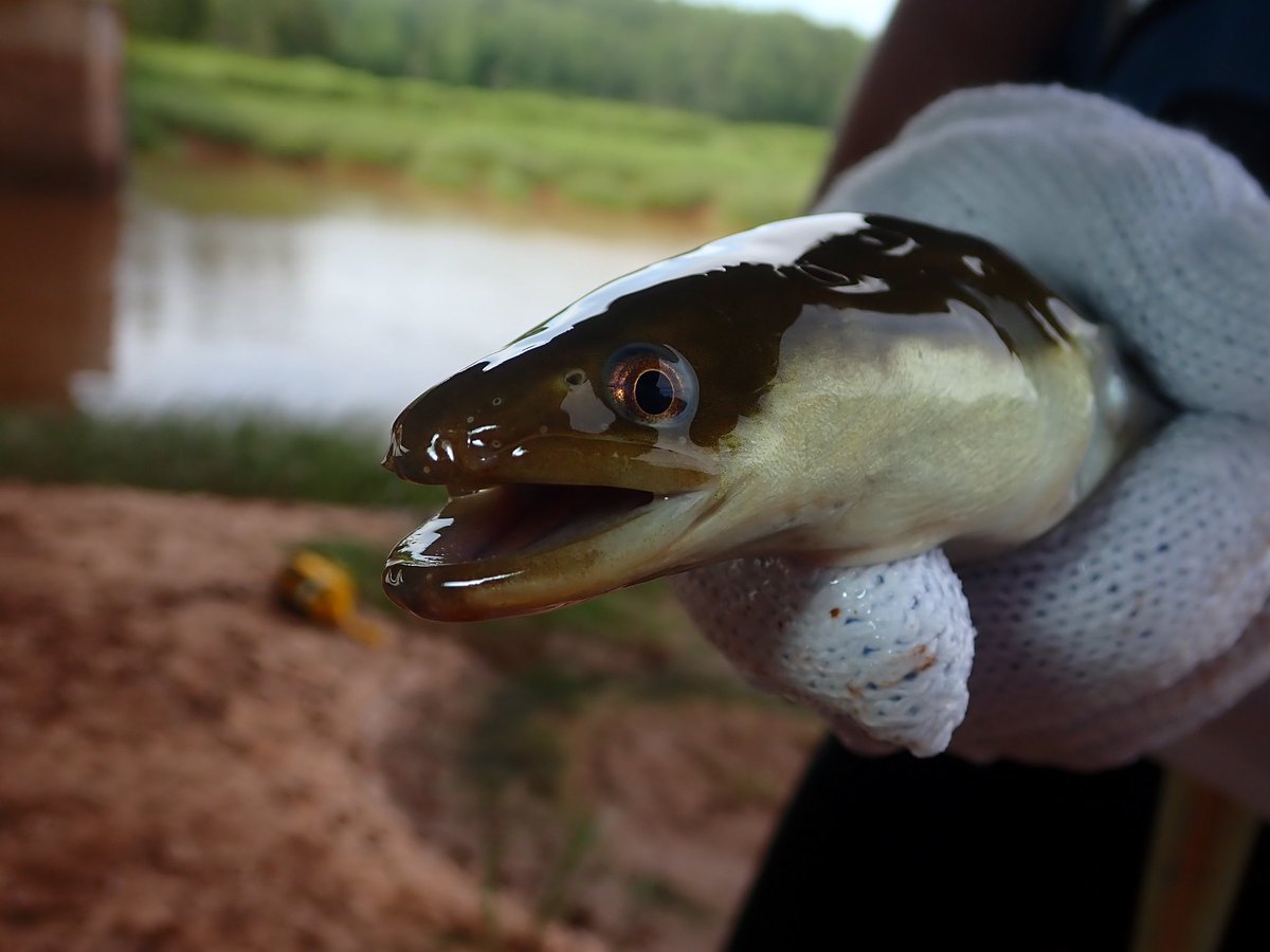 Hunter Stevens tweet media