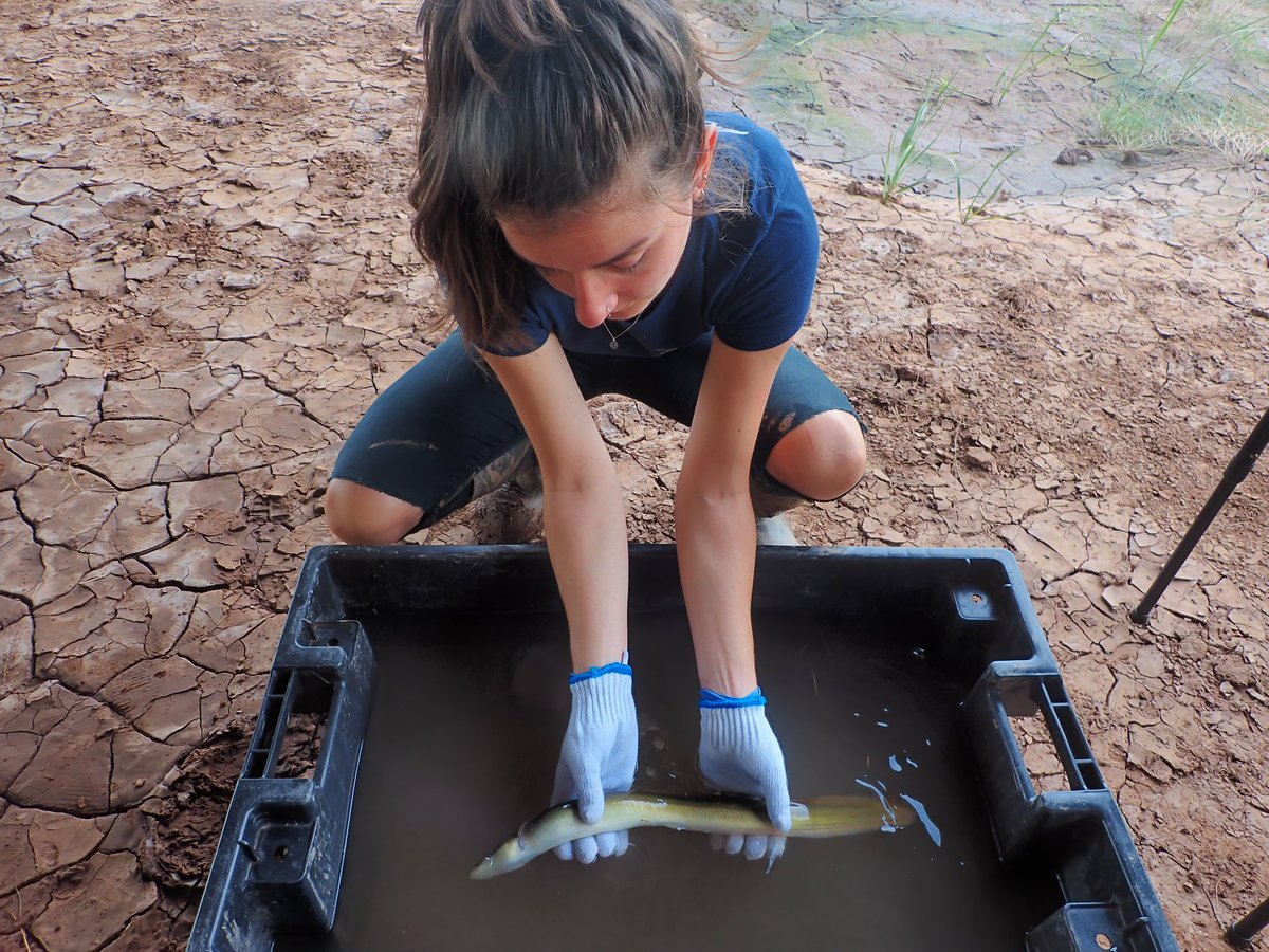 Hunter Stevens tweet media