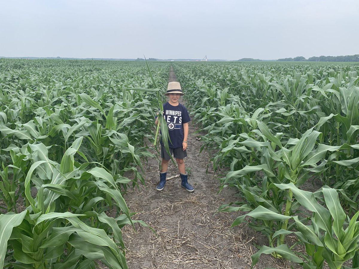 Robert Brunel tweet media