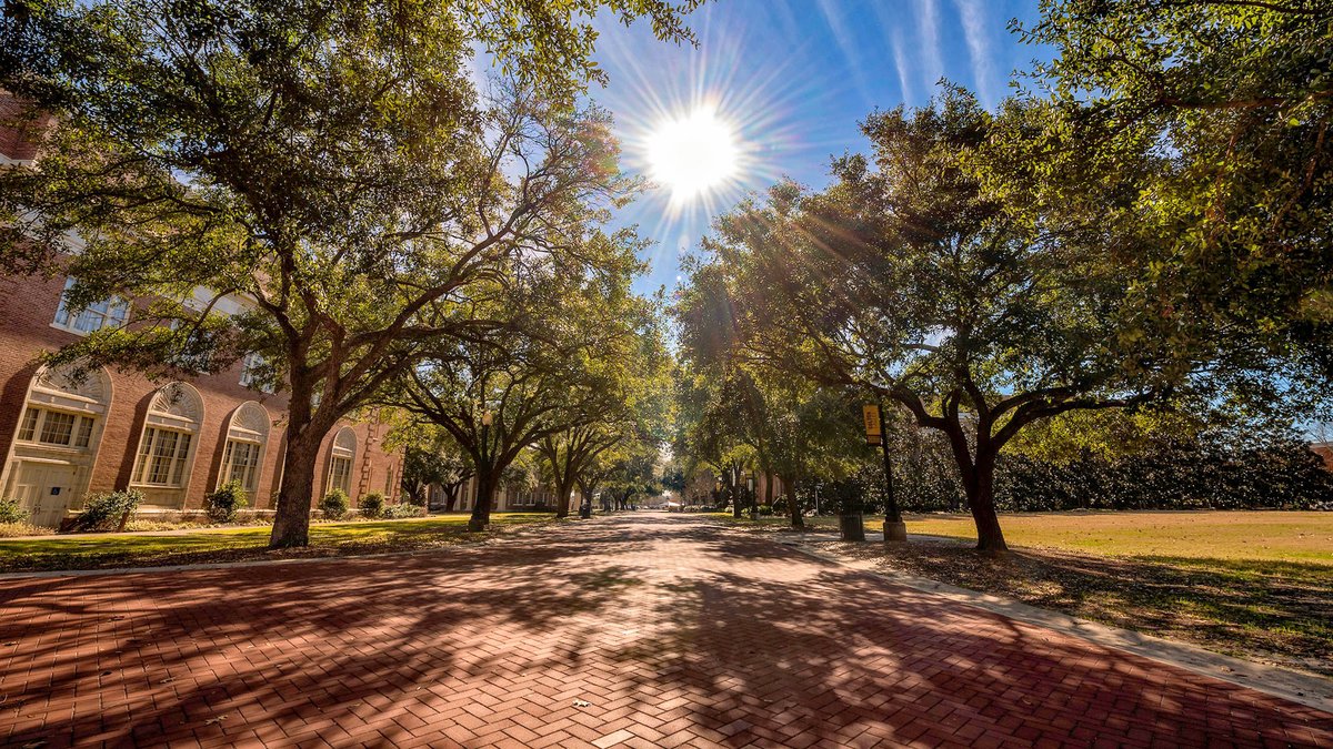 Running through the heart of our Hattiesburg campus, the West Memorial brick plaza is a pedestrian-only walkway, allowing for a fast commute between classes for students.