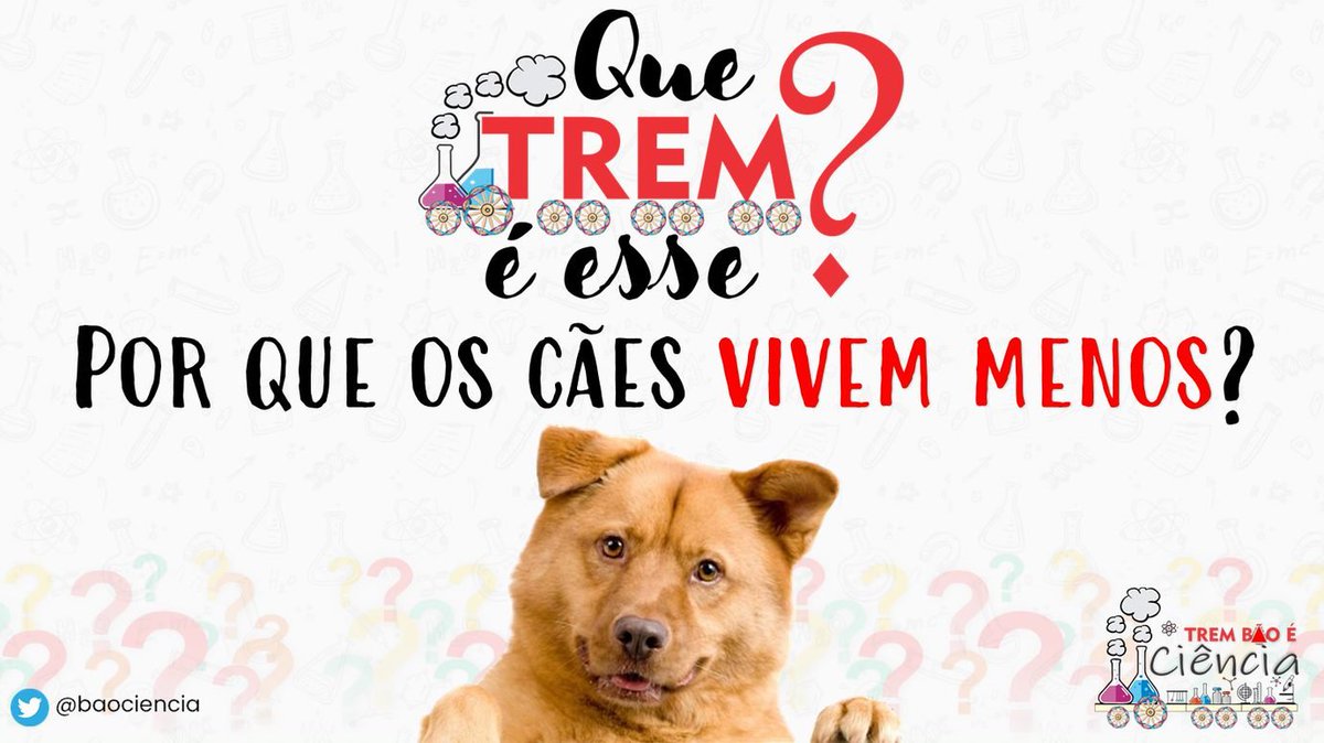 BaoCiencia's tweet image. O que afeta a longevidade?
Fatores como nutrição adequada, bem estar, boa hidratação favorece a saúde e aumentam a expectativa de vida dos doguinhos.
Exercícios e carinho também são essenciais. +
