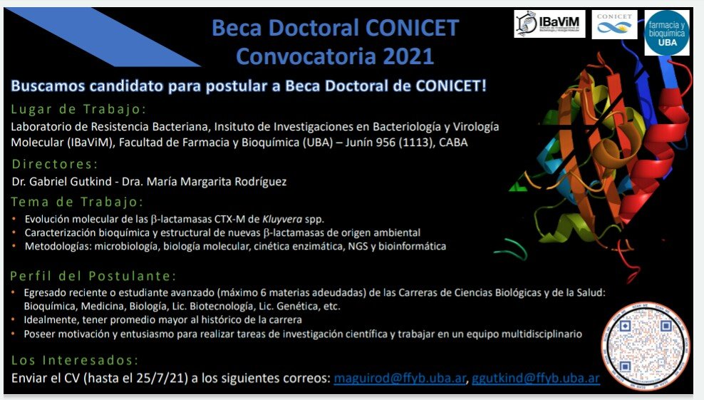 🔎 BÚSQUEDA DE BECARIO DOCTORAL CONICET

Tema 🔬:
*Evolución molecular de las b-lactamasas CTX-M de Kluyvera spp.
*Caracterización bioquímica y estructural de nuevas b-lactamasas de origen ambiental.
<a href="/IBaViM_UBA/">IBaViM</a> <a href="/CONICETDialoga/">CONICET Dialoga</a> 
Directores: Dr. Gabriel Gutkind y Dra. <a href="/maguirod77/">Magui Rodriguez</a>