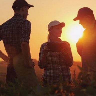 Our members described 'labour/skills shortage' as one of the top 3 issues affecting Aussie growers. To effectively advocate on this issue to govt, we would like to know more about how you employ people on-farm. Take this 3-min survey, closing 25 July: bit.ly/3xP5IcZ