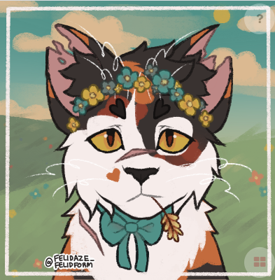 Felidaze s cat creator Felidaze s cat creator