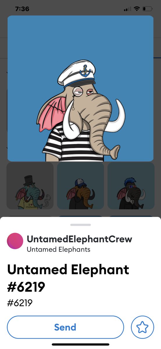 sunnydayzsoon's tweet photo. Well I just grabbed some more @ElephantNFTS to add to my herd!!! I love elephants but I am obsessed with owls and each of these guys will get their owl companion in a few weeks!!! Now to name them! #JoinTheHerd #beaniecrew #elephants #NFTs #untamedherd https://t.co/5OjTKW8C6B
