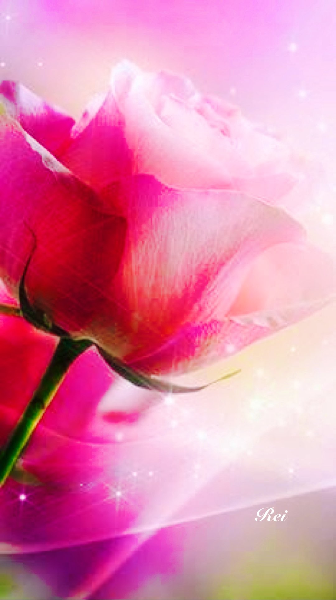 礼 November 8 Monday 新しいweekday今週もよろしく 7 14 Wednesday おはようございます 一筋の愛 愛しています 赤薔薇の花言葉 心から健康と幸せ祈ります Je Tu Aime J T Co Wkdwvaj0kj Twitter
