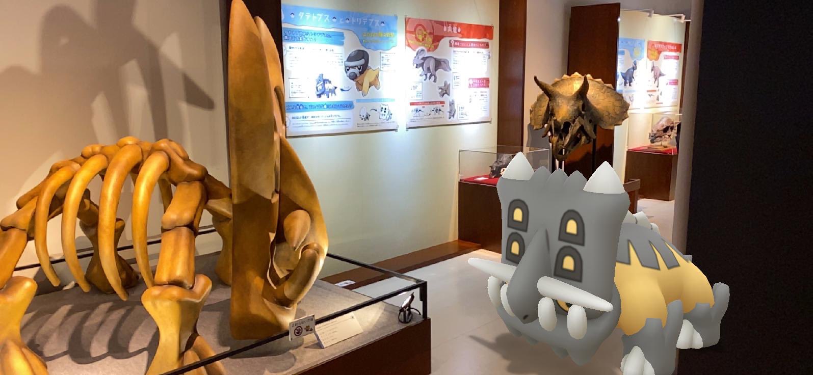 Taturo W ポケモン化石博物館 トリデプスの骨格イメージを見たり 展示説明を読んだりするトリデプスとタテトプス T Co Owmwpxoona Twitter