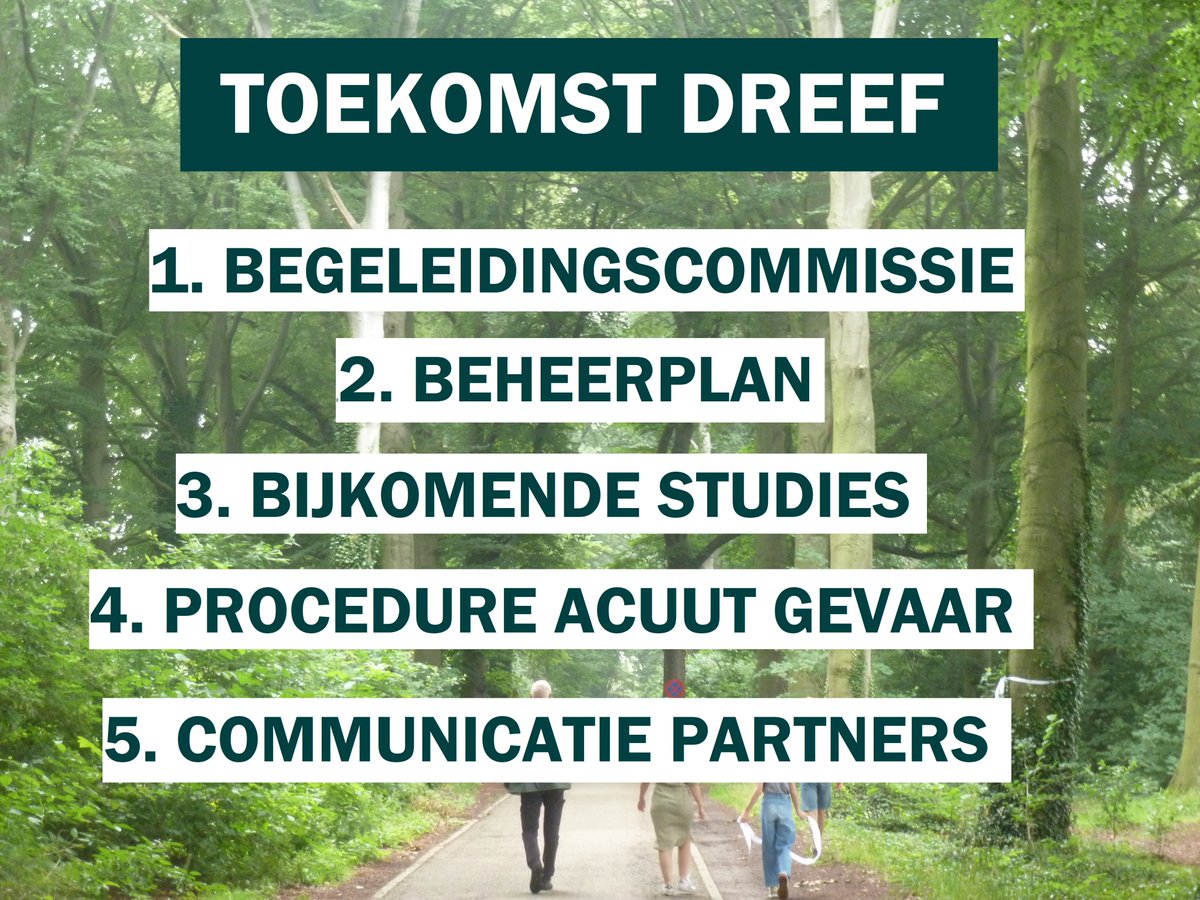 GroenGangmaker's tweet image. De beukenbomen in de monumentale dreef in onze gemeente kunnen blijven staan. Dit zijn de bijzondere voorwaarden die de dreef een mooie toekomst moeten bezorgen:
facebook.com/groengangmaker…