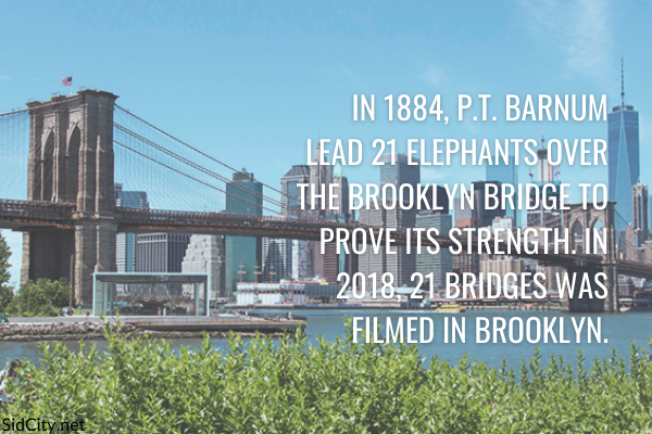 sidcityonline's tweet photo. In 1884, P.T. Barnum lead 21 elephants over the Brooklyn Bridge to prove its strength. In 2018, #21Bridges was filmed in Brooklyn.
#LocationFacts #AlexanderSiddig https://t.co/9oJN7Zbsg9