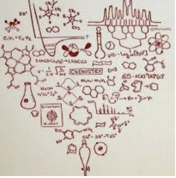 ecalixto's tweet photo. Me gustas con dopamina
me obsesionas con serotonina
tengo celos por la vasopresina
mi apego por ti es debido a la oxitocina 
me emocionas con noradrenalina 
te entrego mi vida a partir de mi endorfina.

#NeuroTuit https://t.co/rlhbyXysMb