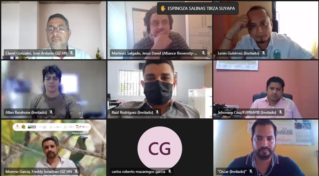 GizHonduras's tweet photo. Para identificar estrategias de éxito y #sostenibilidad, promover réplicas, intercambios y alianzas de colaboración, se realizó un encuentro virtual sobre Sistemas de Monitoreo participativo que se realizan a nivel nacional con organizaciones de la #reservadebiosfera #RBCLSM https://t.co/LtxnBV9aQt