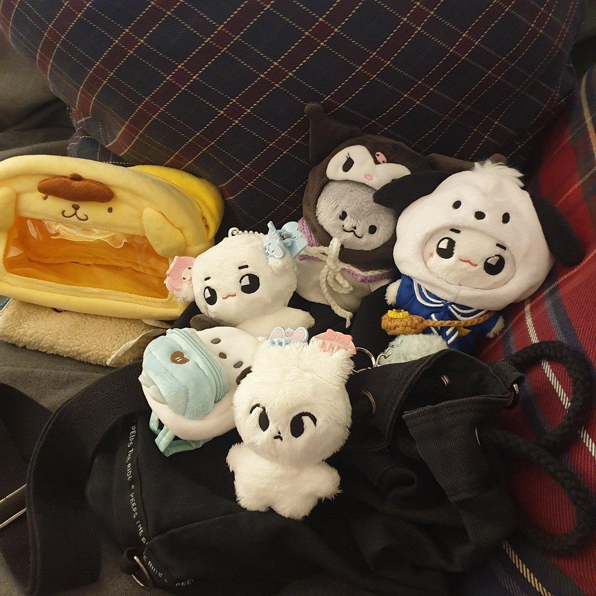 가보자고~ #쥬냥 #하또 #툥야 #툥야