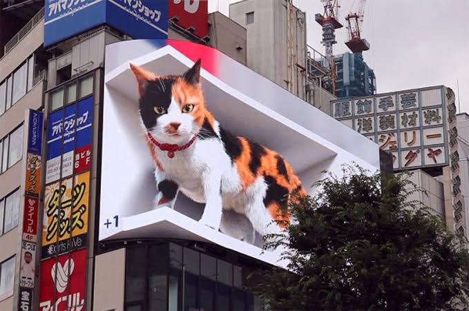 totally_drew's tweet image. Tokyo's 3D CAT at the newest Cross Shinjuku Vision.
#3Dcat #crossshinjukuvision #tokyo #japan #shinjuku #cat 

youtube.com/shorts/F-IbsV5…