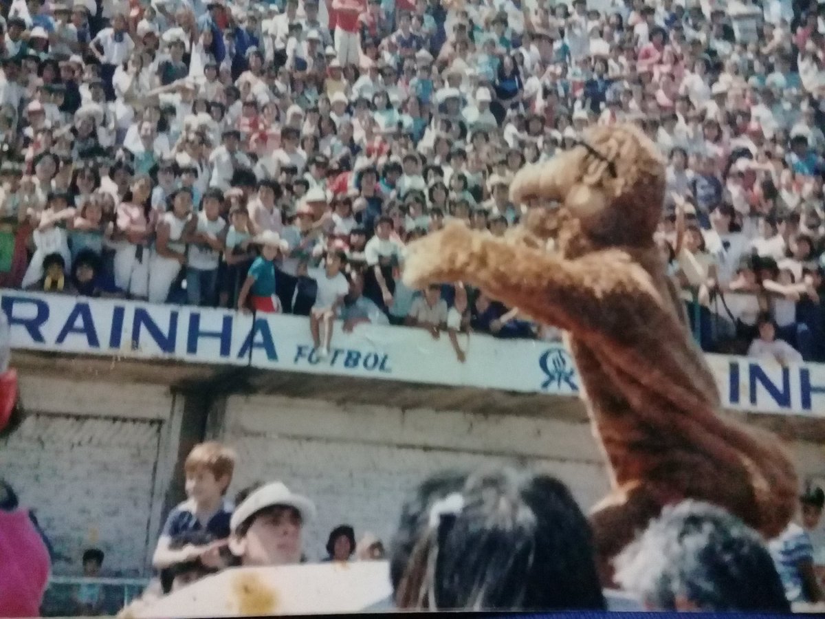 Marcelo González tweet media