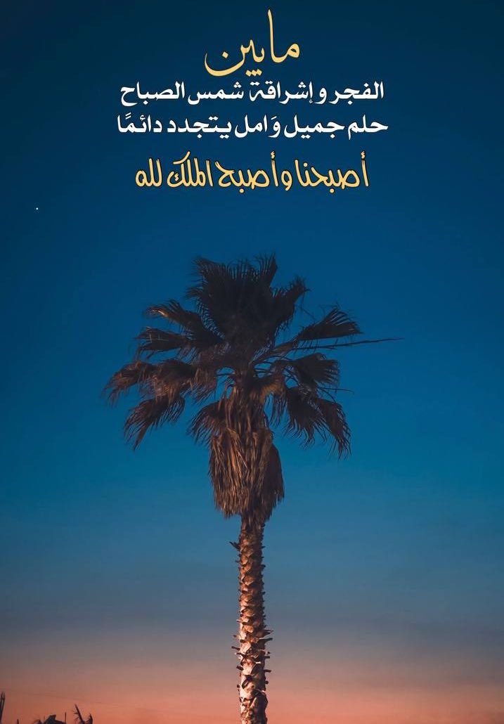 P804e's tweet image. 