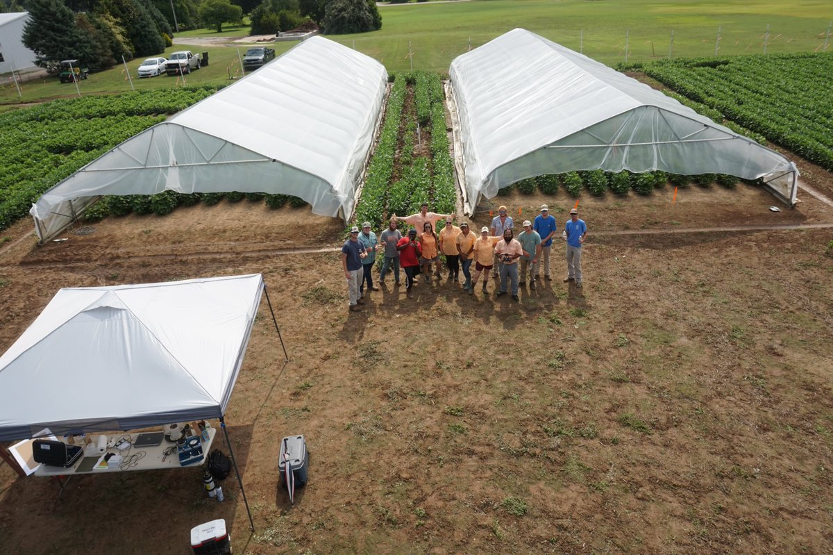 SayantanAg's tweet photo. It was a nice day talking with #inquisitive #undergrads about our research on REEU crop physiology day. #wtrec #cropphysiology @kendallSheldon2 @AShekoofa https://t.co/q2EMcI2HSf