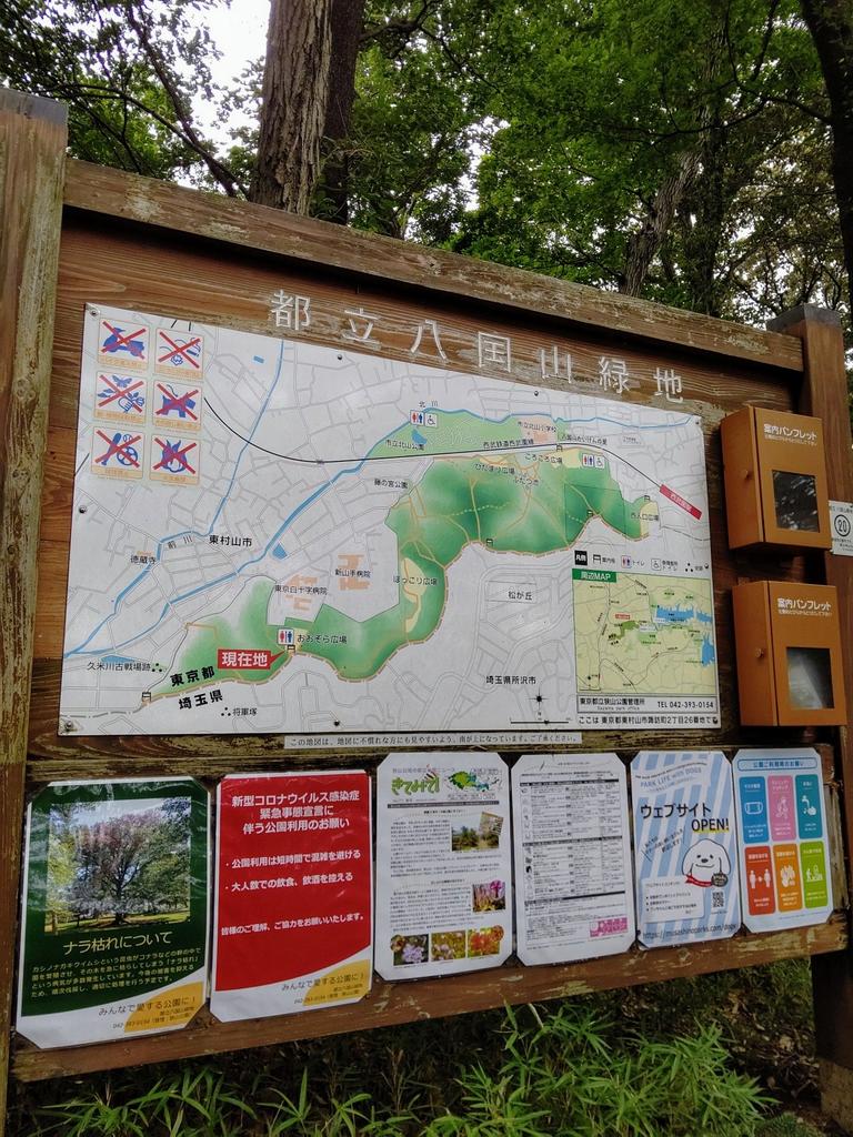 ハウル コンクリートジャングルから 八国山ジャングルへ帰還 善きお嫁さん見つけて下さい トトロやネコバスの居る森でゆったり過ごして下さい バイバイ 八国山緑地 トトロの森 カブトムシ クワガタ T Co Ymqvdvx0x8 Twitter ハウル コンクリートジャングルから 八国山ジャングルへ帰還 善きお嫁さん見つけて下さい トトロやネコバスの居る森でゆったり過ごして下さい バイバイ 八国山緑地 トトロの森 カブトムシ クワガタ T Co Ymqvdvx0x8 Twitter