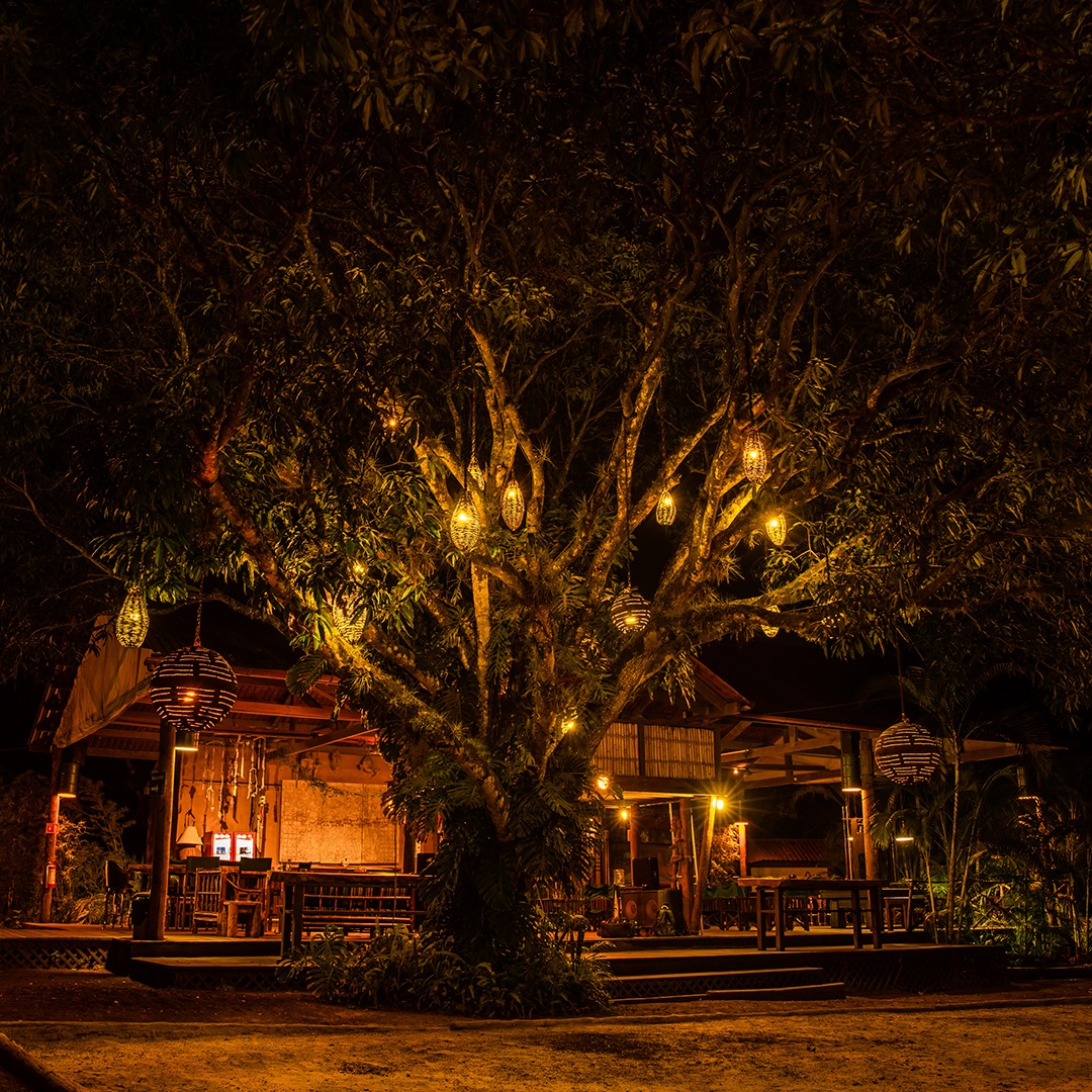 RegionXalapa's tweet photo. 📸 Buenas Noches desde #JALCOMULCO #RegiónXalapa (créditos a quien correspondan)
#Cultura y #Aventura #LaRegiónMásBonita #Noche #Estrellas #Verano #Recuerdos #Fotografías #Travel #Tour #MéxicoVerde #VisitMéxico #Veracruz #Regioneros https://t.co/T3aR5wvTIe