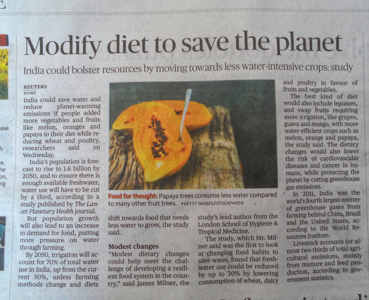 shivenduhry's tweet photo. #horticulture #Indianhorticulture #modifydiet #tosave #theplanet https://t.co/ohpco7JdHZ