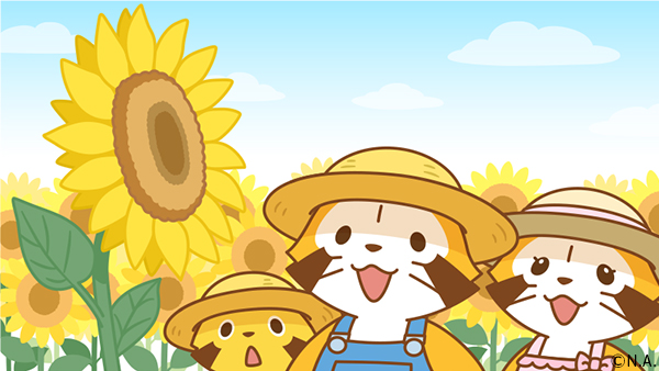 「今日はひまわり🌻の日だよ。
ひまわりが咲いてるのをみると、夏☀️を感じるミャ�」|ラスカル（公式）🌽のイラスト