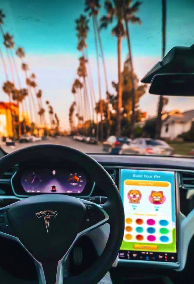 xJedi888's tweet image. #Minipets in your #Tesla perhaps? 

@MiniDOGEToken @elonmusk #minisquad #MiniDoge