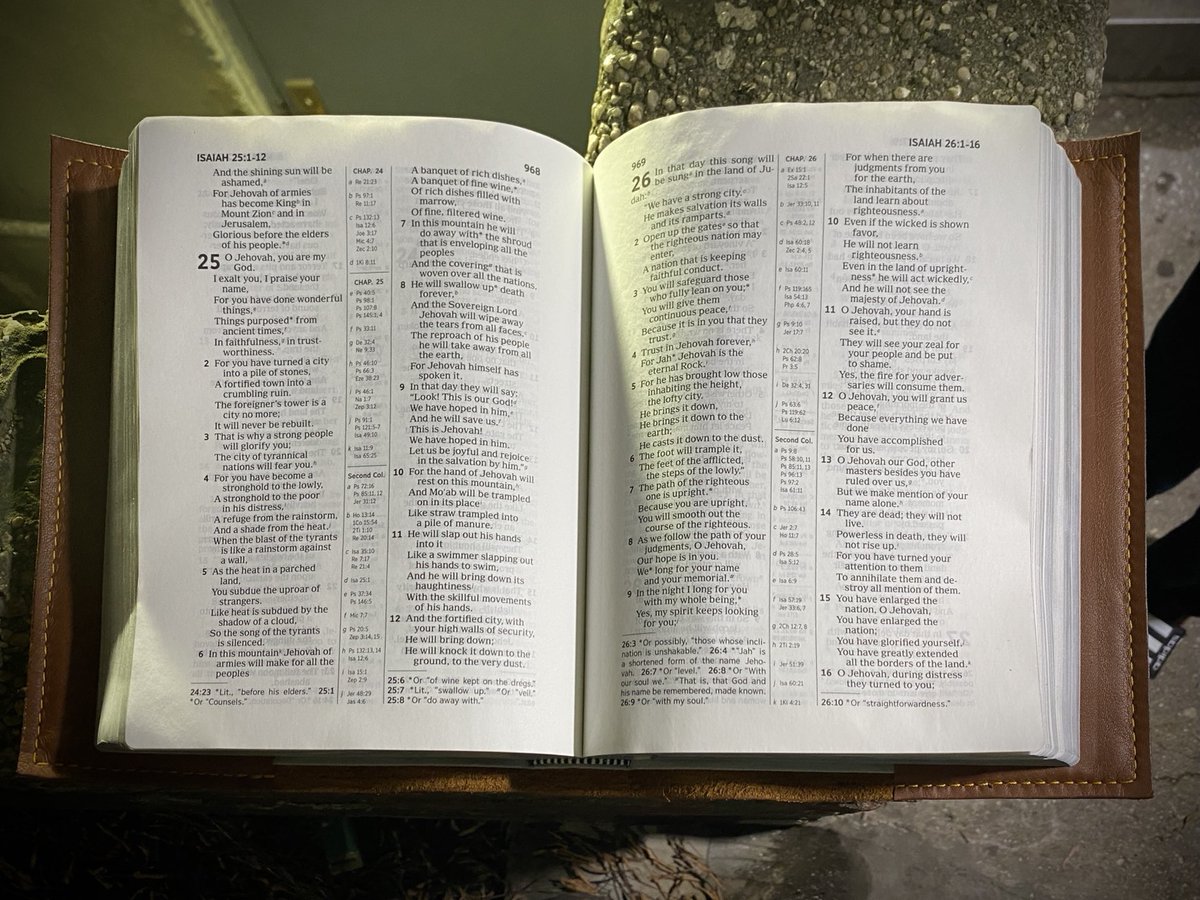 Tom Sheppard tweet media