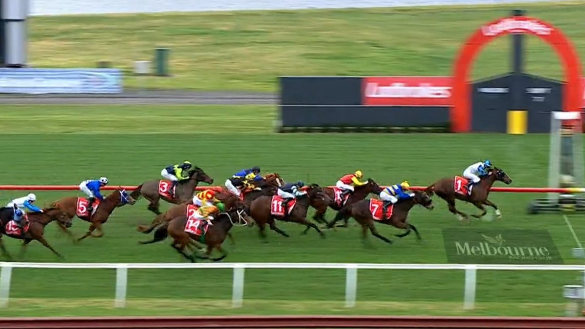A great win for Twist Of Fury to score in the 2nd at Sandown, that's 5 from 12 for the in form filly from @brideoakeracing!
