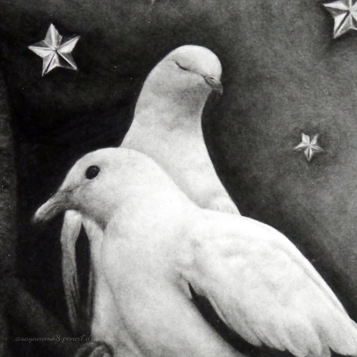 山田さやか Sayakayamada Sayanemo8 Twitter