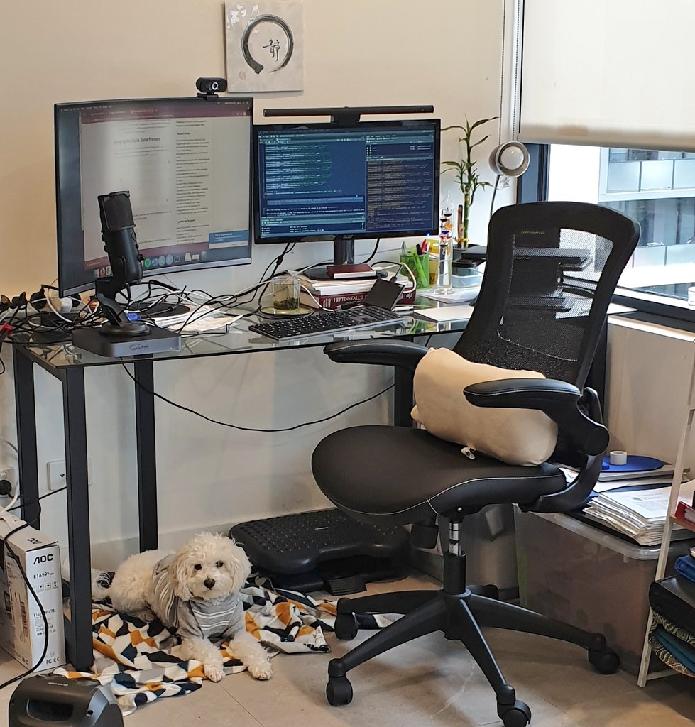 JLi_Renal's tweet photo. Perfect positioning in front of heater #dogsoflockdown https://t.co/2IZmQOWnsP