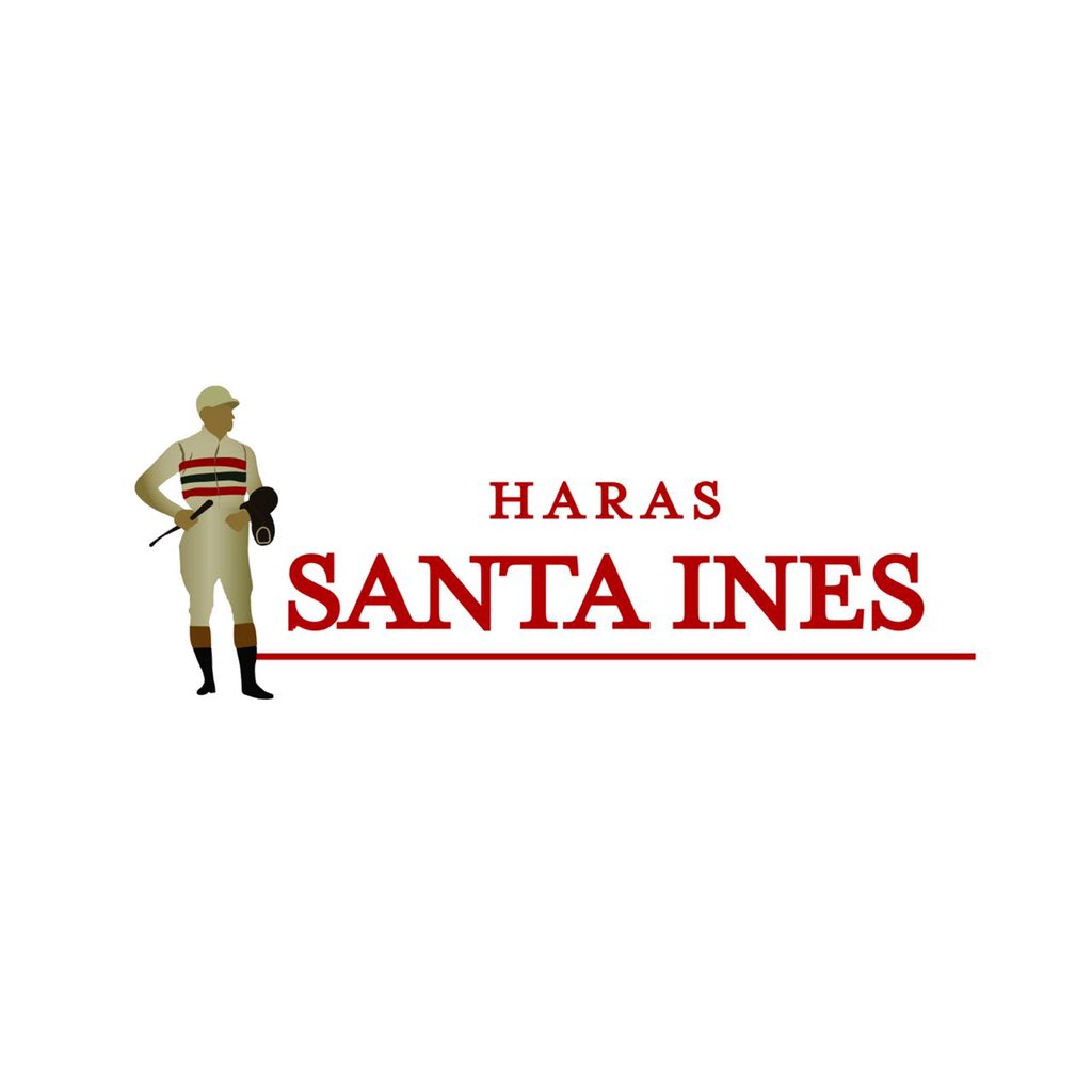 harassantaines.com
🐴 Caballos Sangre Pura de Carrera 🐴
#harassantaines 
#caballo 
#sangrepuradecarrera 
#thoroughbred 
#racehorse 
#haras 
#studfarm