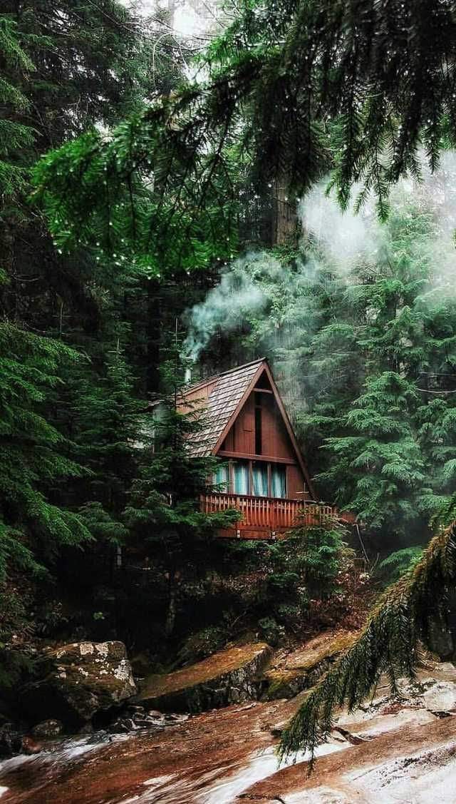 ali. M (@alimohamed29411) on Twitter photo 