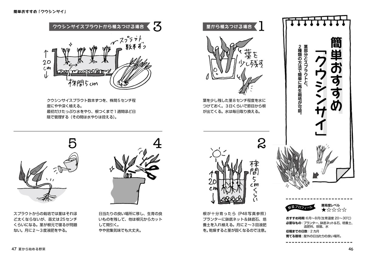 産業編集センター出版部 على تويتر 本日発売 観て楽しい育てて美味しい 野菜の再生栽培 大橋明子 Https T Co Ijbwyvvamn ブロッコリーの芯 パプリカの種 小松菜の根っこ 野菜の切れ端から再収穫する 再生栽培 のコツを イラストとマンガで楽しくご紹介