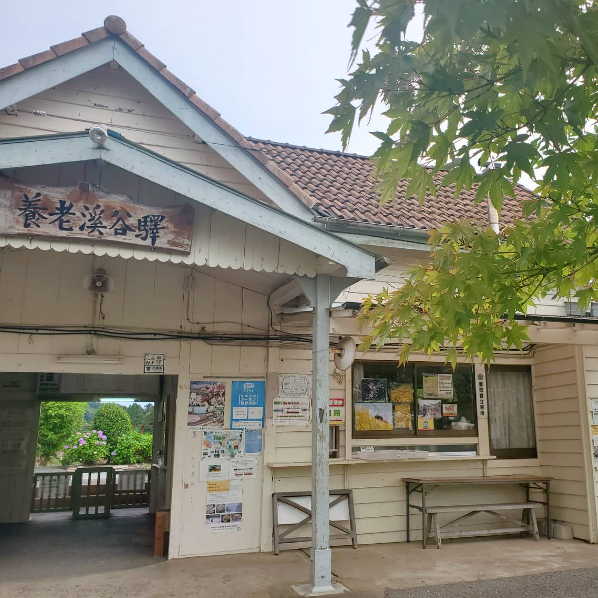 CONNECTBiz3737's tweet image. 千葉の養老渓谷
『渓谷別庭もちの木』Instagram更新されました。

【養老渓谷駅が森になる日】↓

instagram.com/p/CRSyUQvDfX_/…

※CONNECT Bizは渓谷別庭もちの木公式応援団です。

#渓谷別庭もちの木
#CONNECTBiz