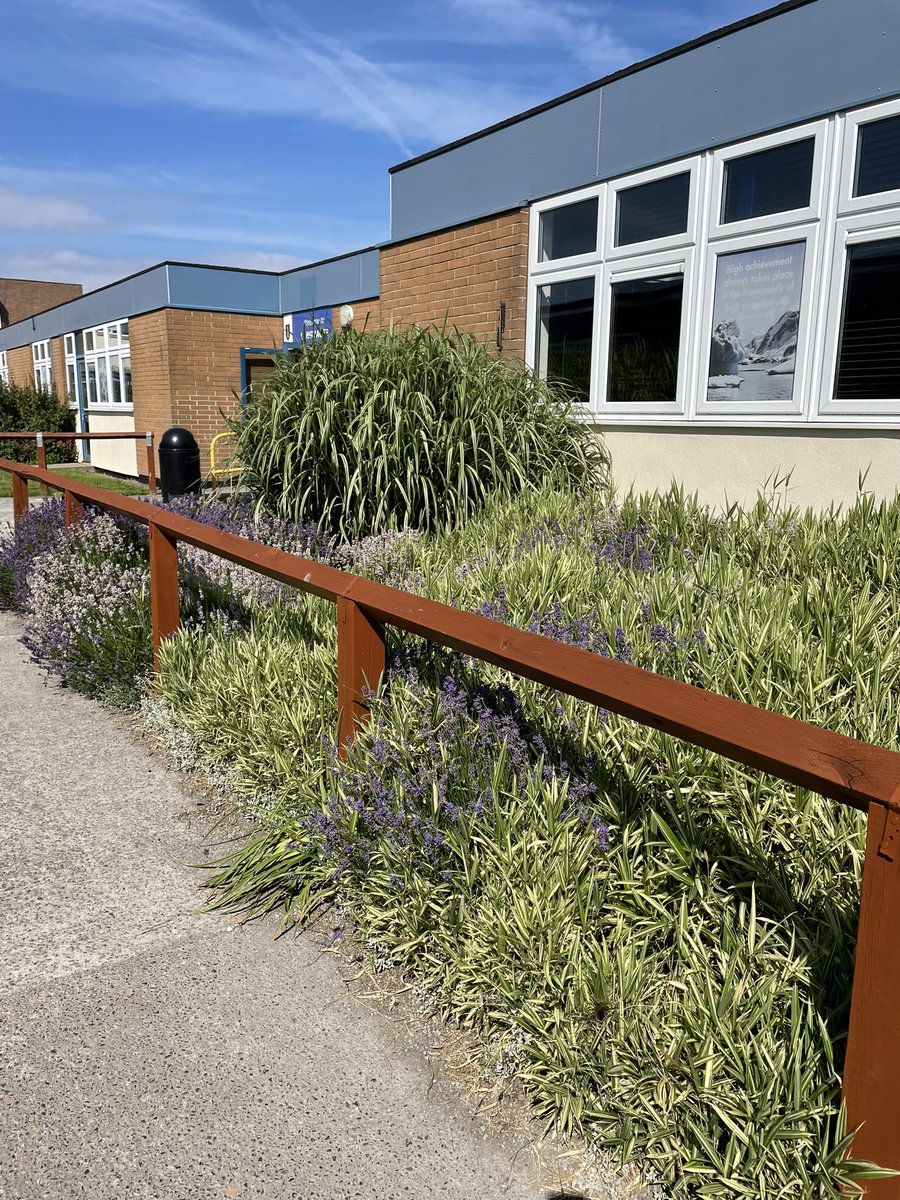 NjenkinsRAS's tweet photo. @WorleCSA looking stunning in the sun today. Great to see Yr7 so engaged  with @mendipoutdoor https://t.co/rp7LAHlrt5