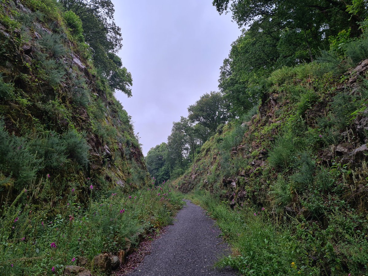 HolidayDartmoor's tweet photo. Cycling the Wray Valley Trail in Dartmoor National Park: https://t.co/W5tBLS3w3d