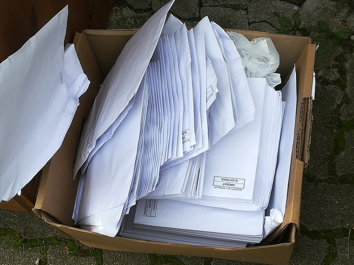 MysterMouton tweet media