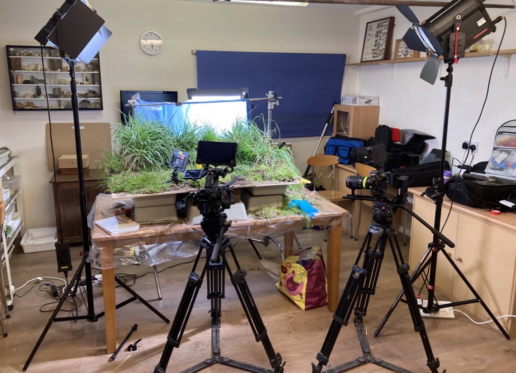 SallyAnn_Spence's tweet photo. Been working with a film crew making a wildlife based documentary - my classroom @berrycroft_hub became a studio &amp; we made a mini meadow. Actors were absolutely tiny but played the biggest &amp; most important roles…
🐜🕷🪲💩🍀🌸🌾
#scicomm #outreach #AwesomeInsects #BehindTheScenes https://t.co/hDSIzyT0bN
