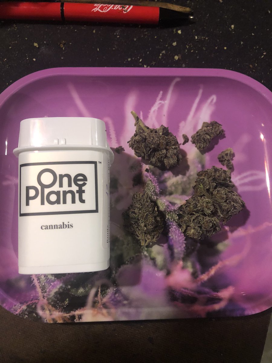 Tokingtim420 tweet media