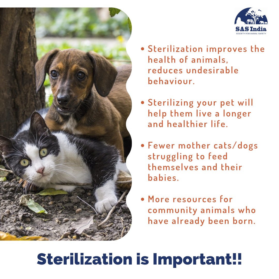 Society for Animal Safety, India (@SasindiaSas) / Twitter Society for Animal Safety, India (@SasindiaSas) / Twitter